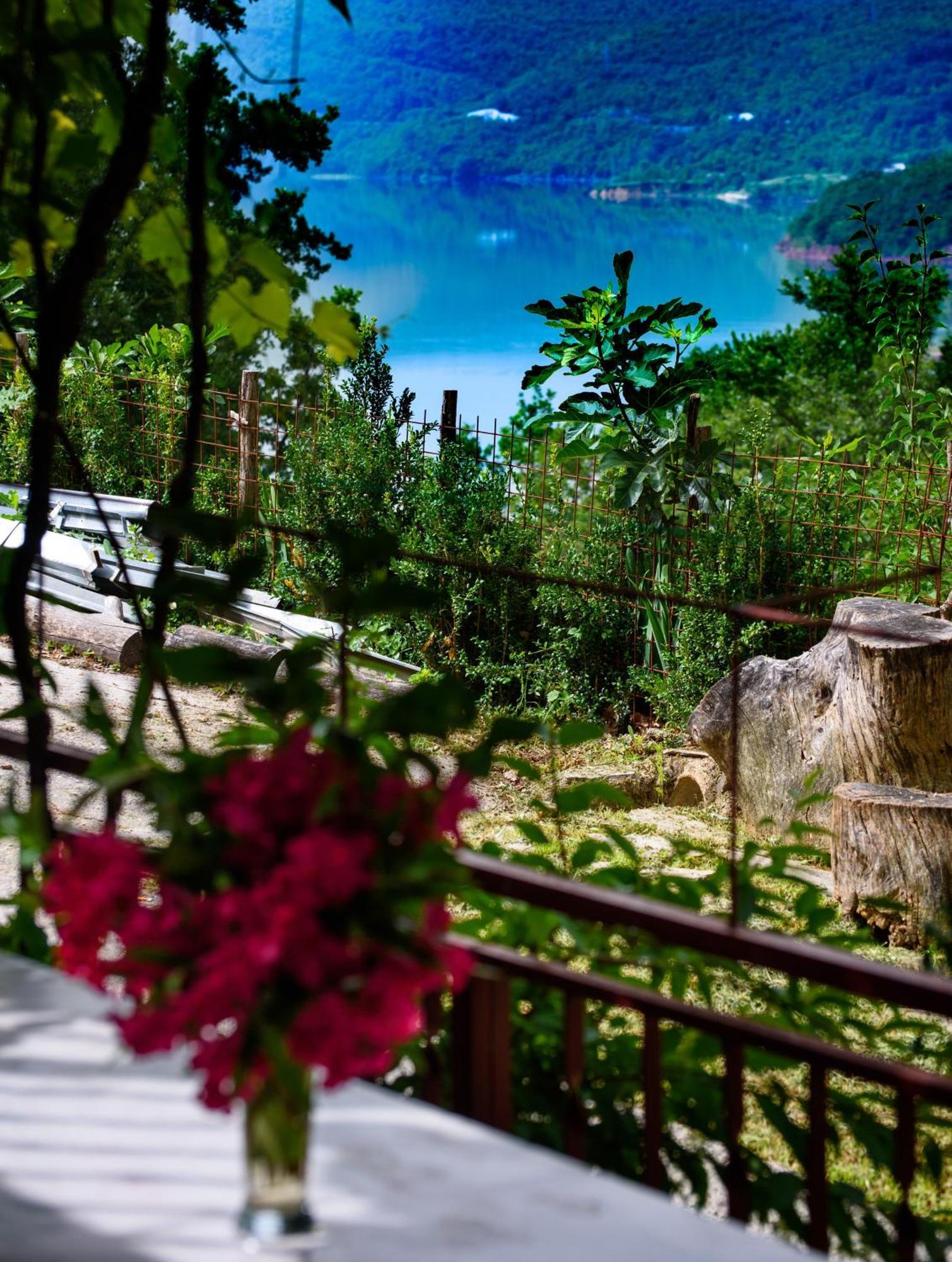 Vrlika Apartments Cvitini Dvori Garjak מראה חיצוני תמונה